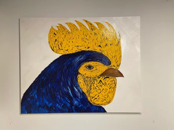 Gallo Duke