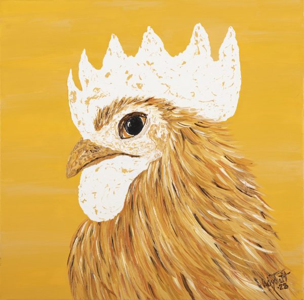 Gallina Sol