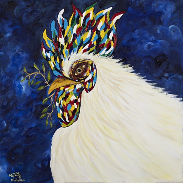 Canta el Gallo